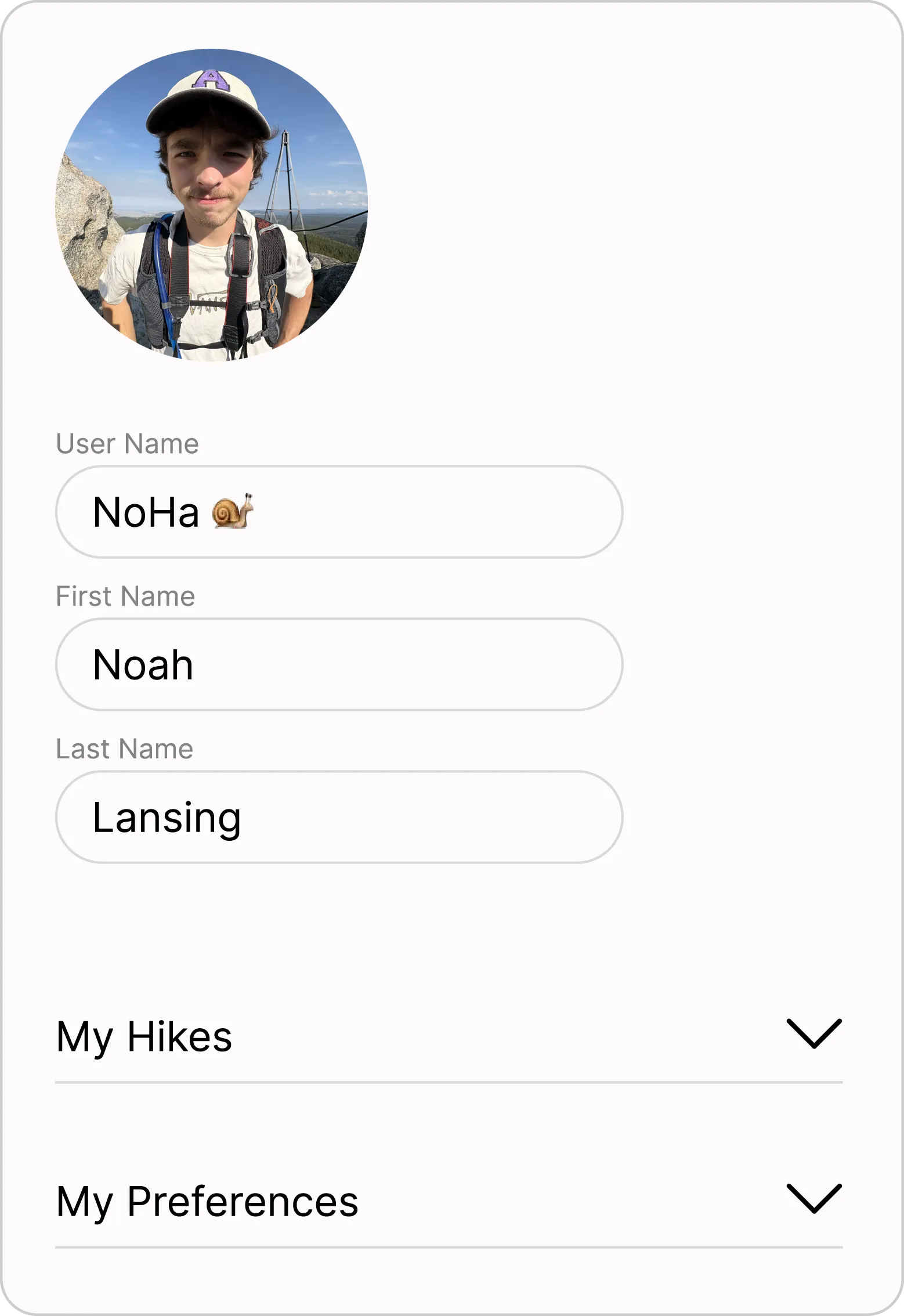 Text Input Bar